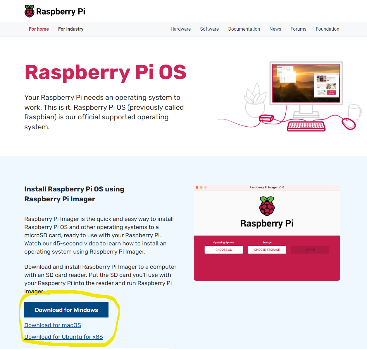 Raspberry1